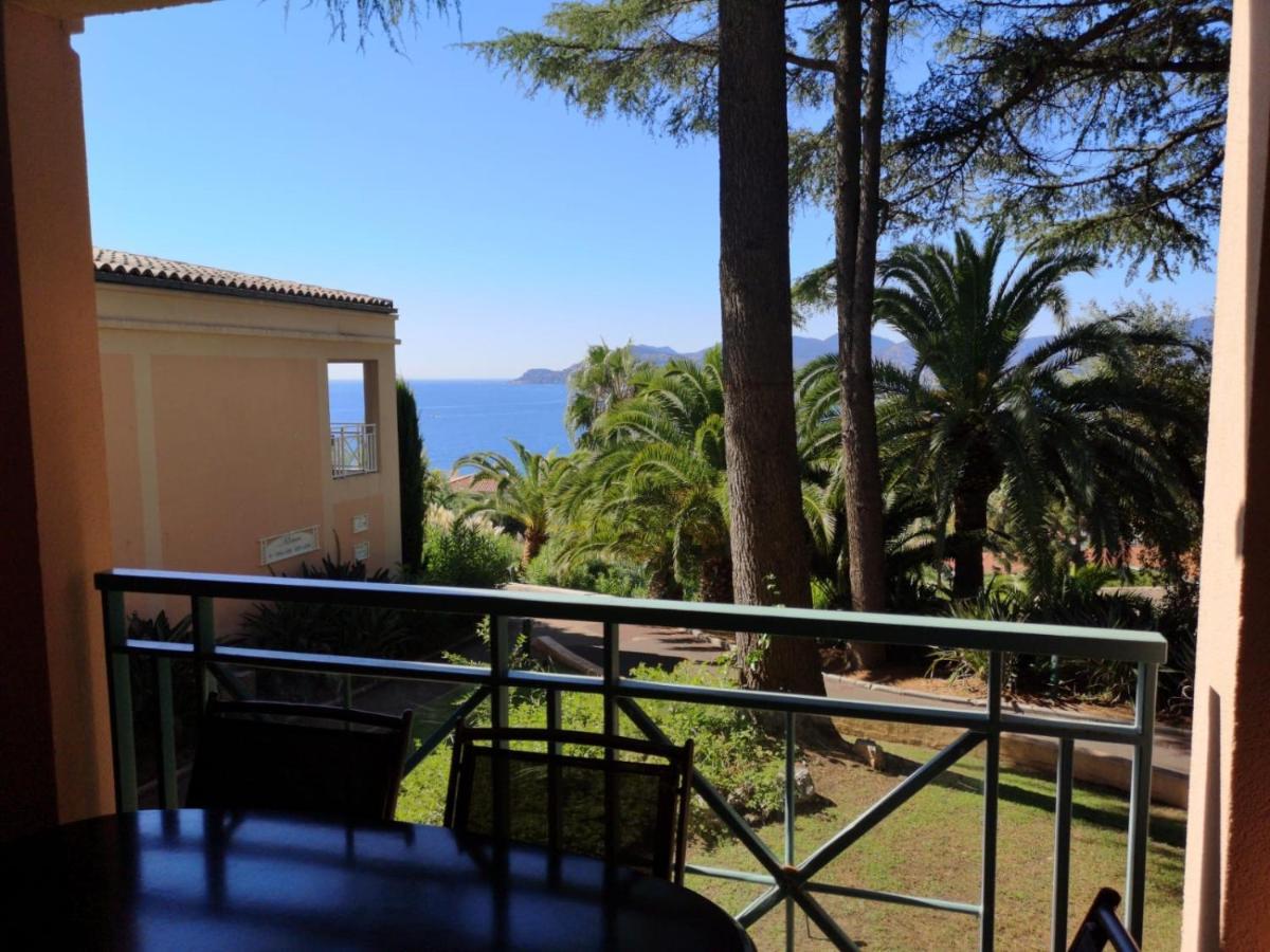 Duplex vue mer spendide, terrasse piscine jardins parking Cannes Extérieur photo